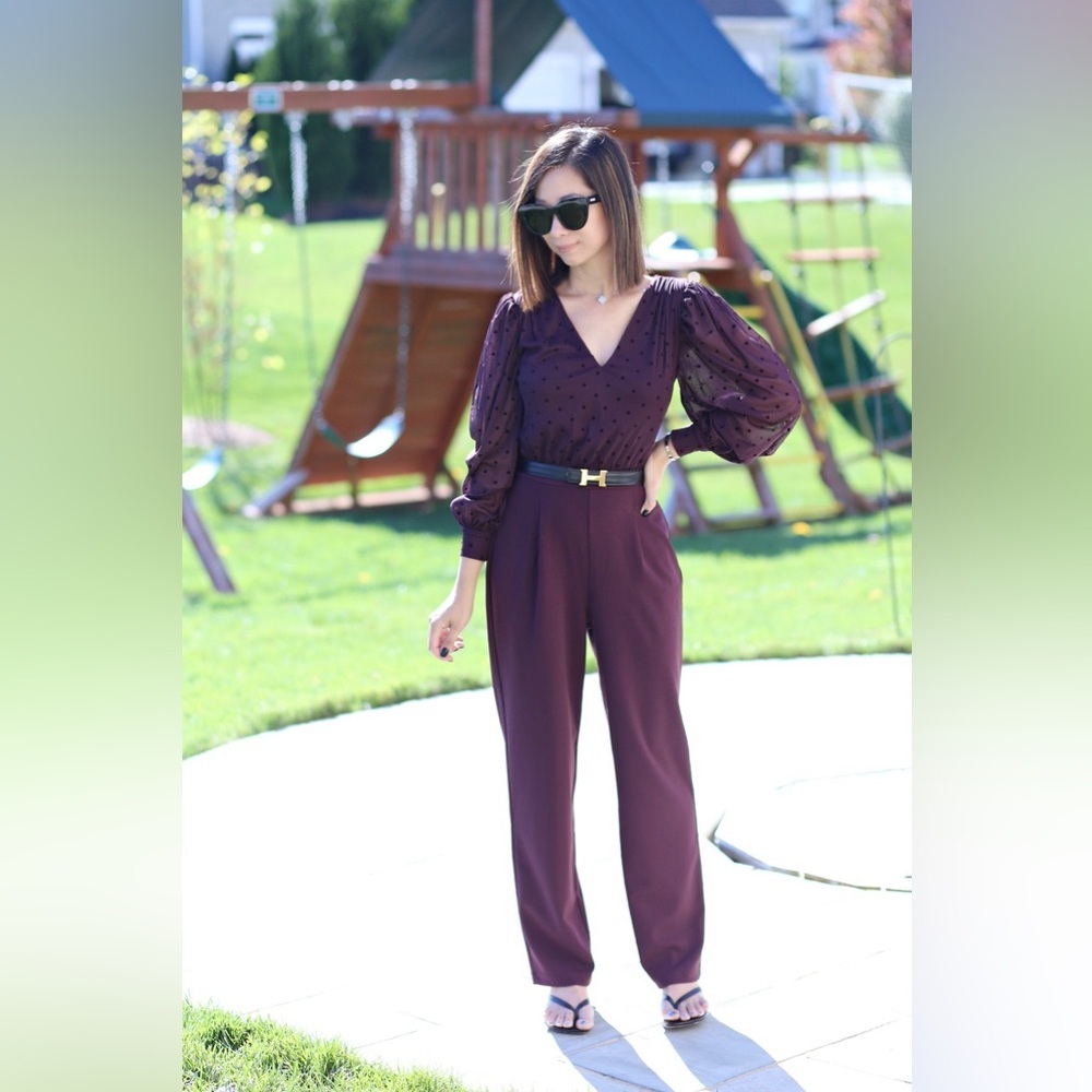 🌺EXPRESS V NECK BURGUNDY SHEER SLEEVE JUMPSUIT